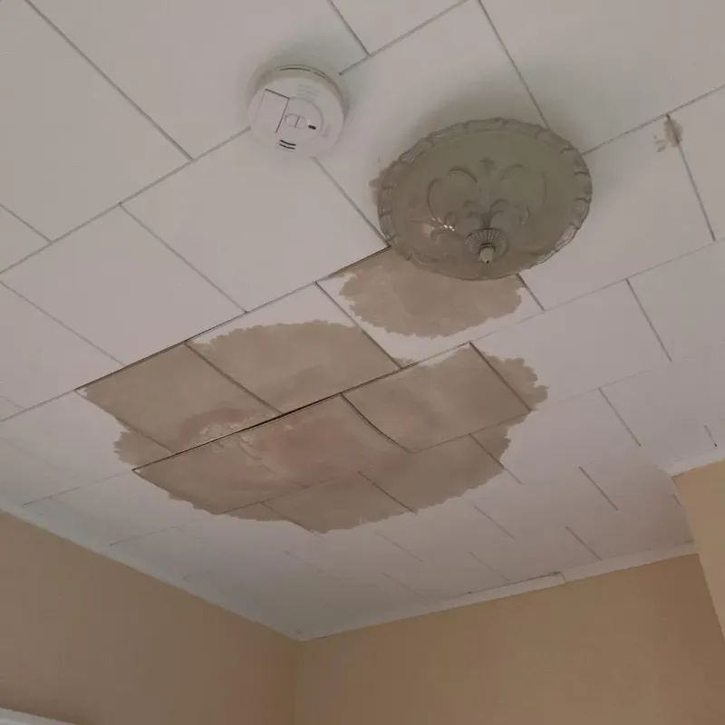 Ceiling Water Damage Repair in Matoaca, VA
